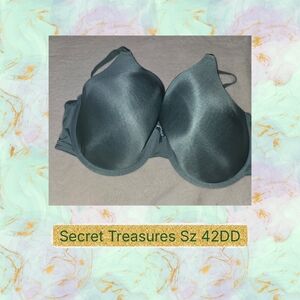 ❤️Secret Treasures Greeb Bra Sz42DD